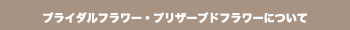 ブライダルフラワー・ブリザードフラワーについて